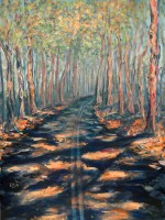 /album/eve-jorgensen-art/forest-road-02-10605-aust-journeys-no-1-jpg1/